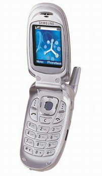   GSM- Samsung () SGH-E300